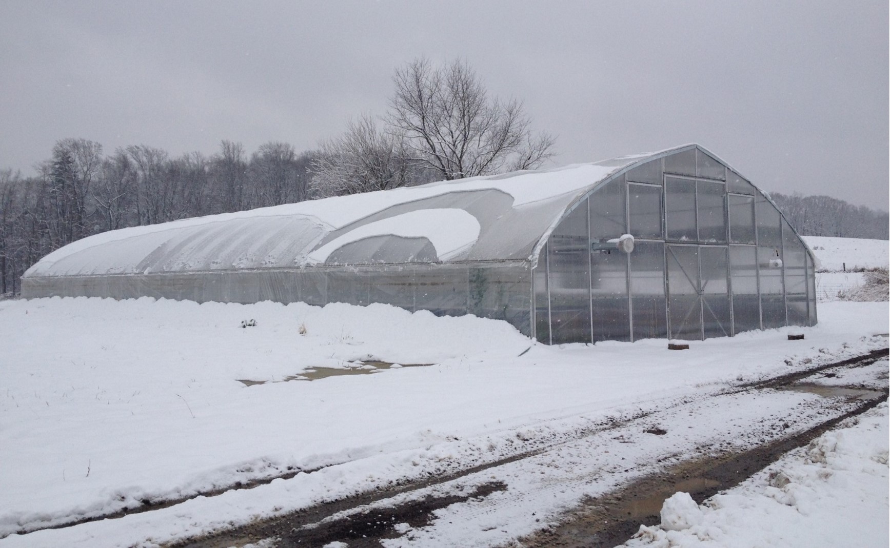 35.5ft Wide Propagation Greenhouse with Prefabricated Endwalls